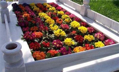yaz kışa dayanıklı mezar çiçekleri